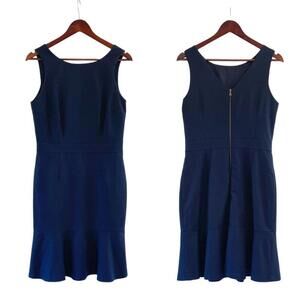Banana Republic Women's Navy Dress with Flounce Skirt Exposed Back Zipper Sz 8